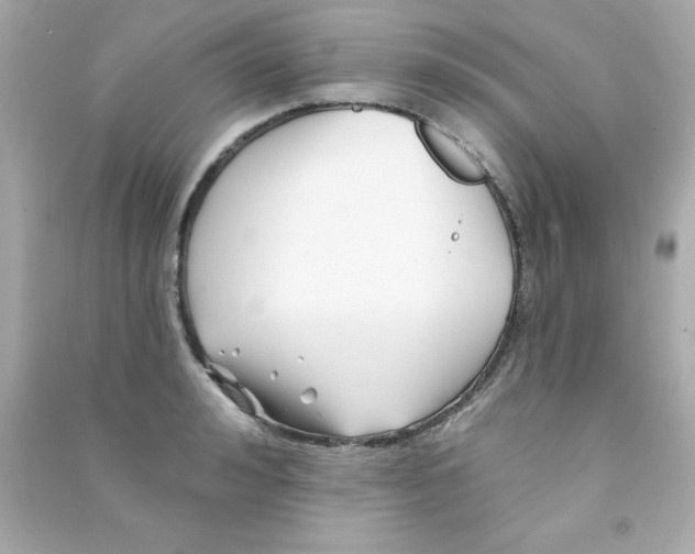 X0000090480992200708102152