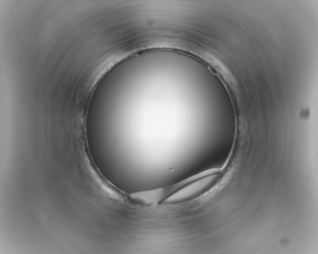 X0000090480993200708102152