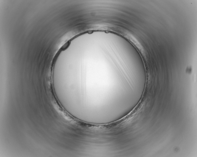 X0000090480994200708102152