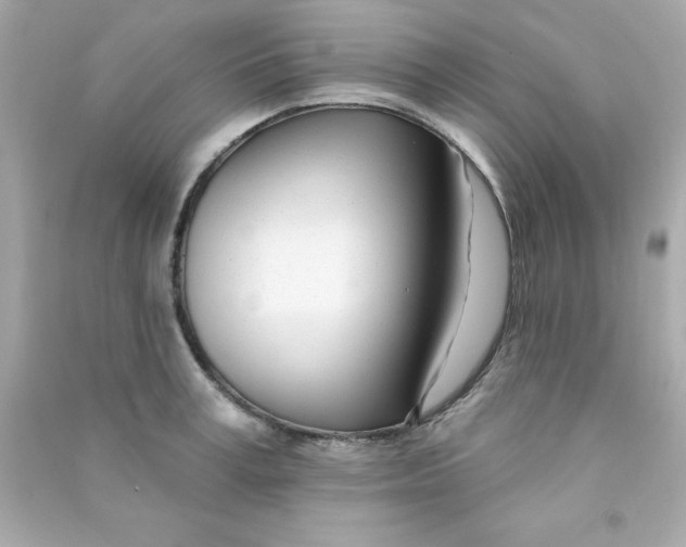X0000090480995200708102152