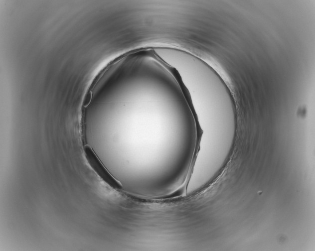 X0000090480996200708102152