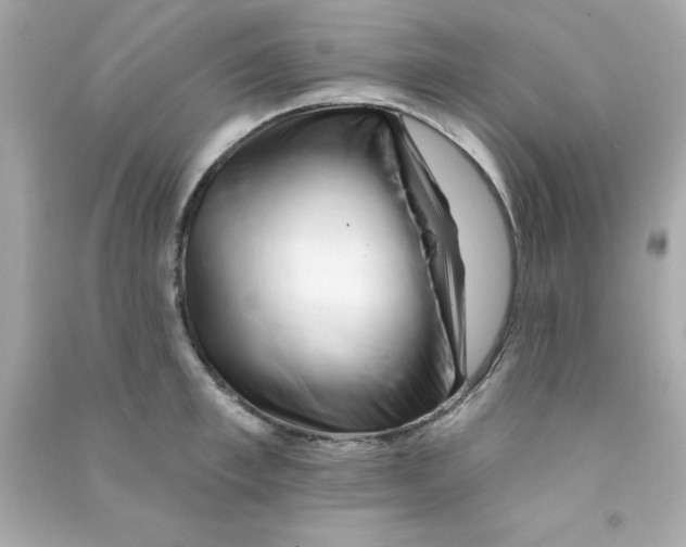 X0000090480997200708102152