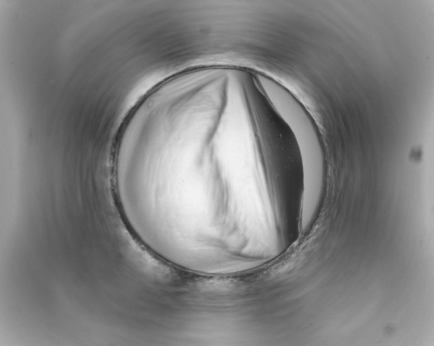 X0000090480998200708102152