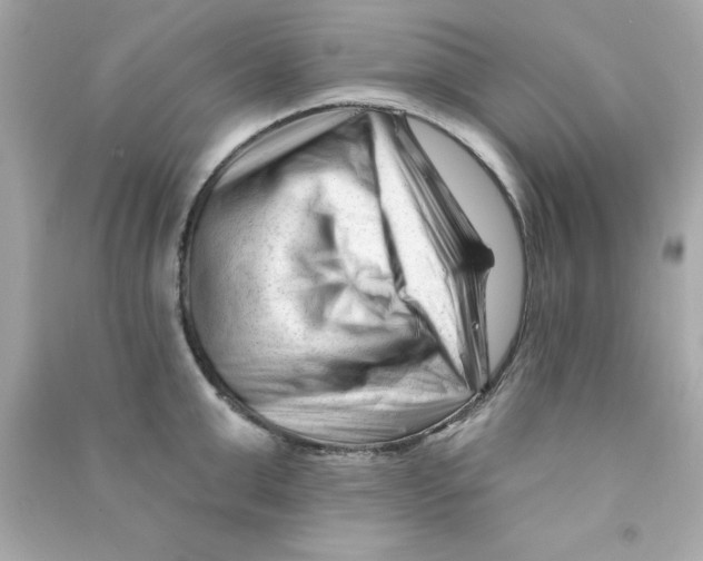 X0000090480999200708102152