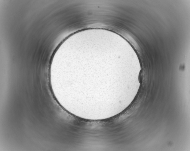 X0000090481000200708102152