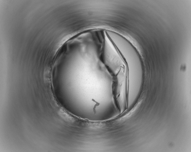 X0000090481001200708102152