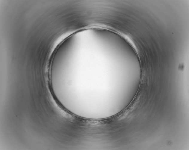 X0000090481003200708102152