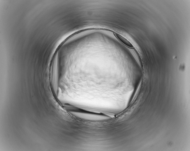X0000090481004200708102152