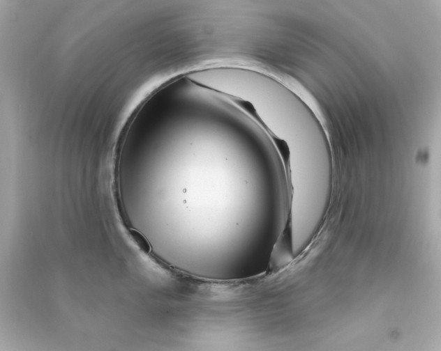 X0000090481005200708102152