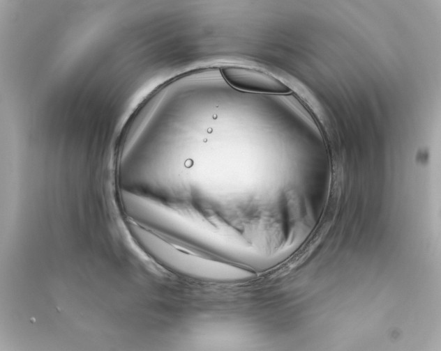 X0000090481006200708102152