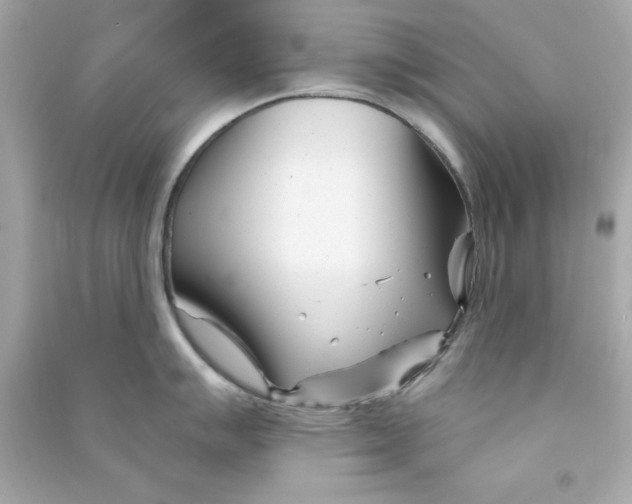 X0000090481007200708102152