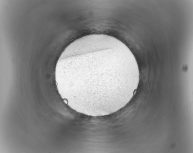 X0000090481009200708102152