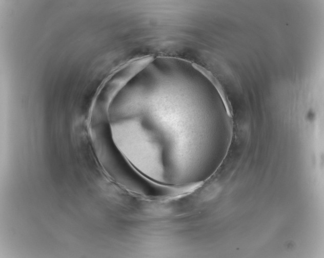 X0000090481010200708102152