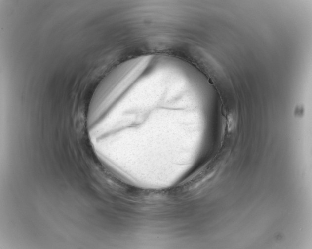 X0000090481011200708102152