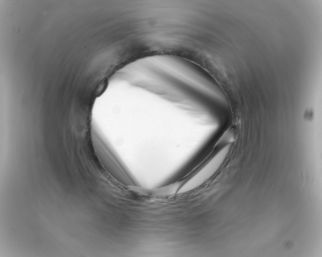 X0000090481012200708102152