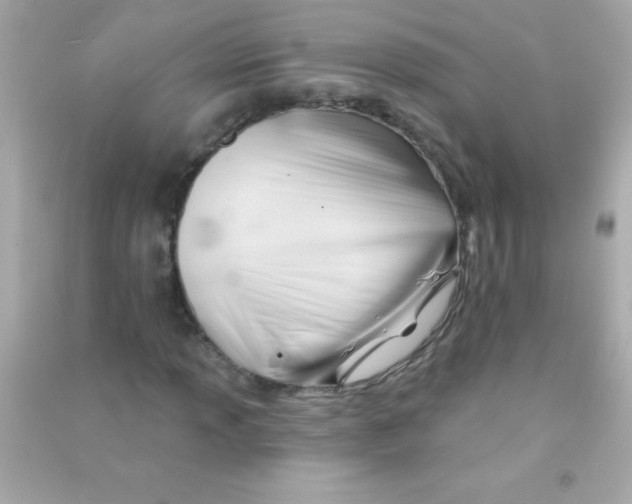 X0000090481013200708102152