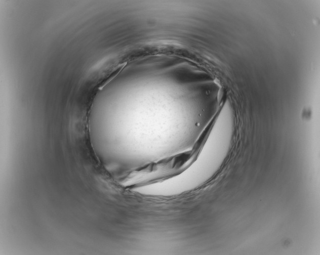 X0000090481014200708102152