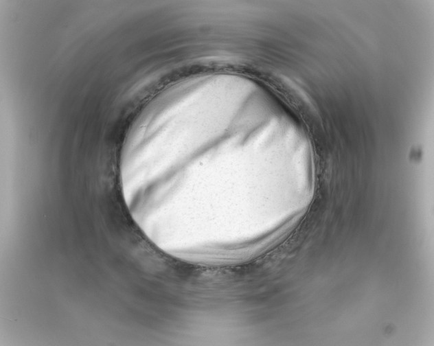 X0000090481015200708102152