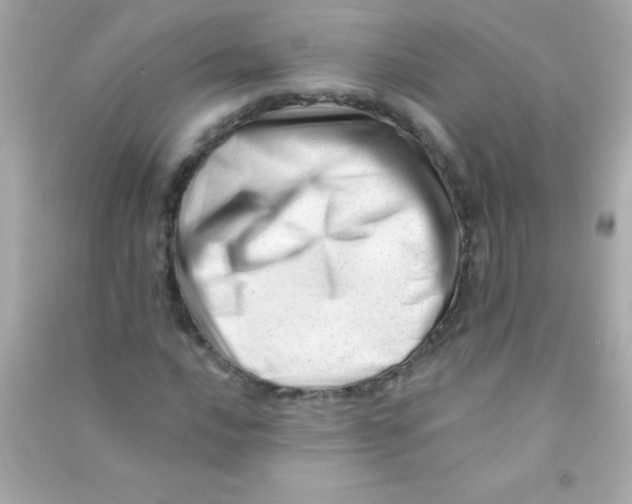 X0000090481016200708102152