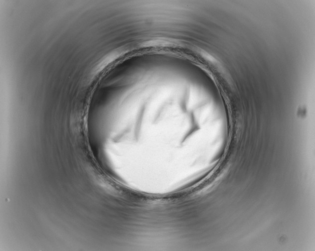 X0000090481017200708102152