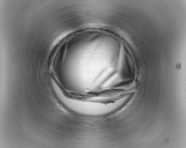 X0000090481018200708102152