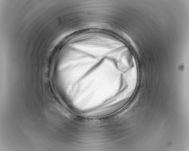 X0000090481019200708102152