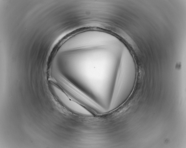 X0000090481020200708102152