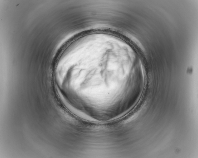 X0000090481021200708102152