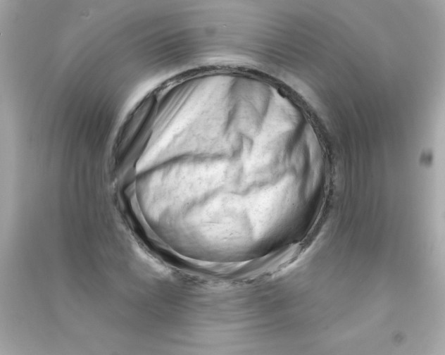 X0000090481022200708102152