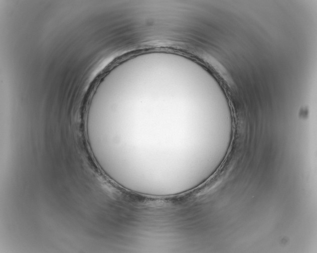 X0000090481023200708102152