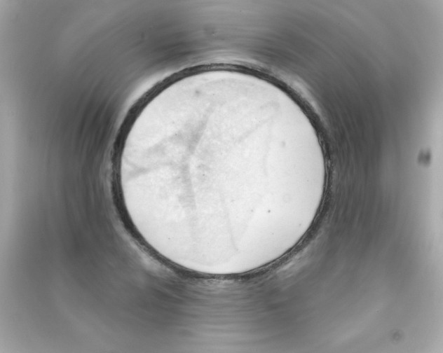 X0000090481024200708102152