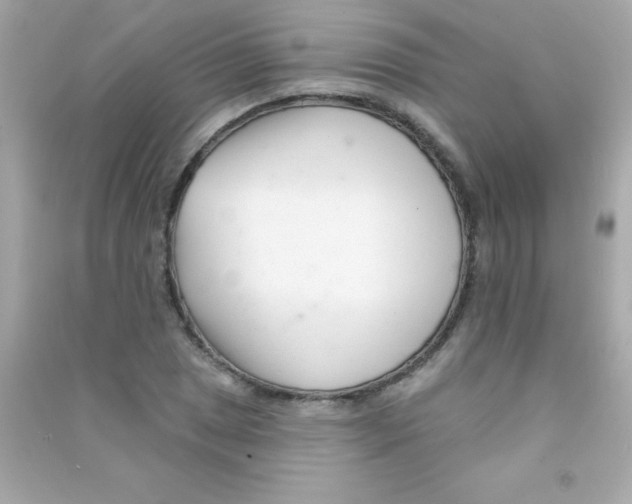 X0000090481025200708102152