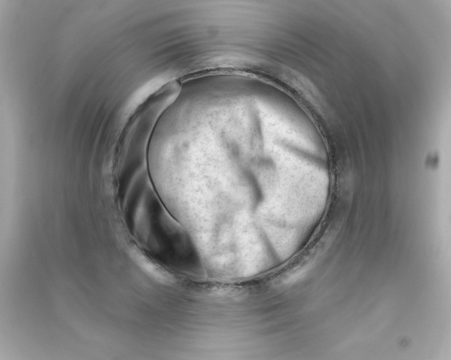 X0000090481026200708102152