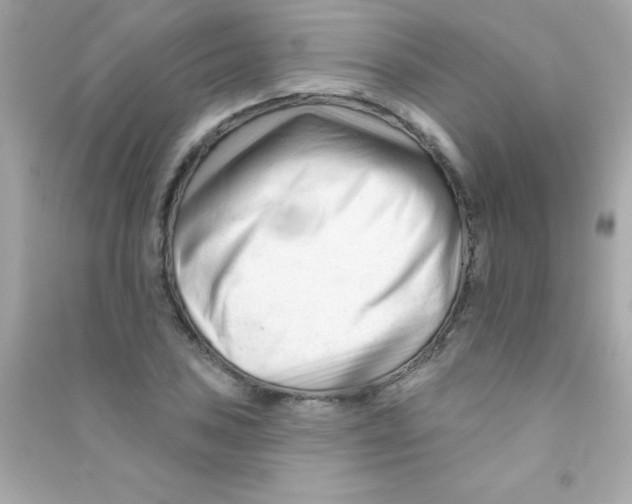 X0000090481027200708102152