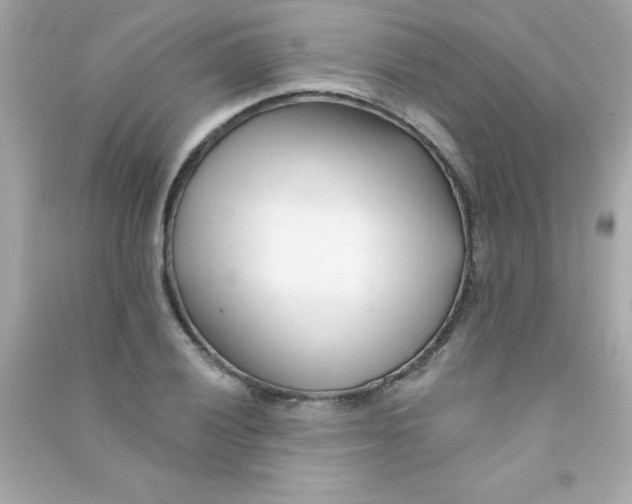 X0000090481028200708102152