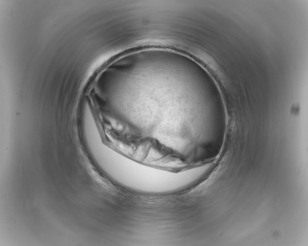 X0000090481030200708102152