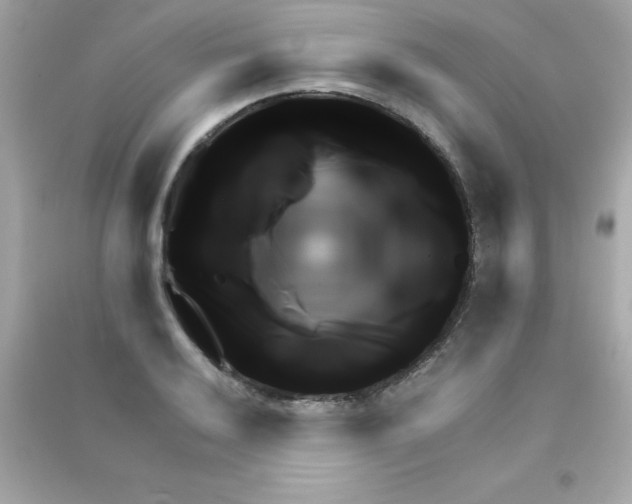 X0000090481032200708102152