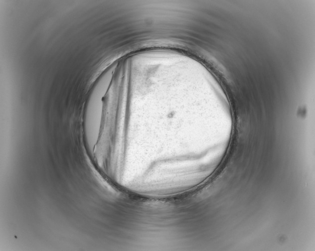 X0000090481033200708102152