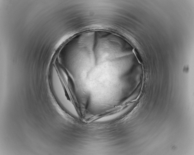 X0000090481034200708102152