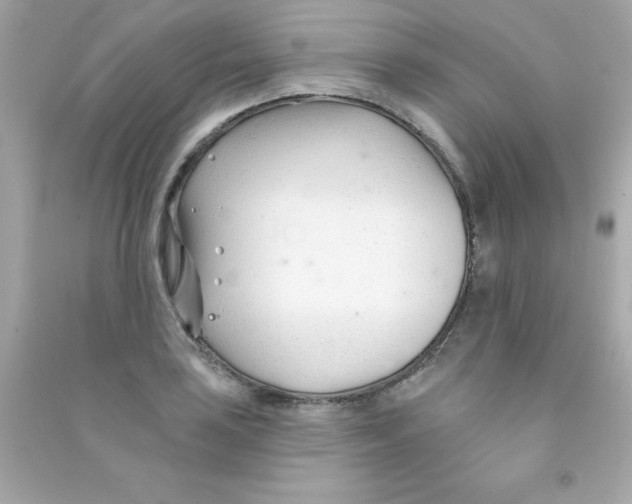 X0000090481035200708102152