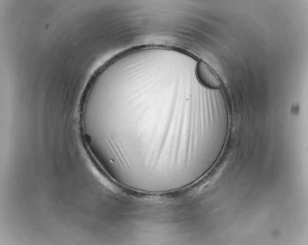 X0000090481037200708102152