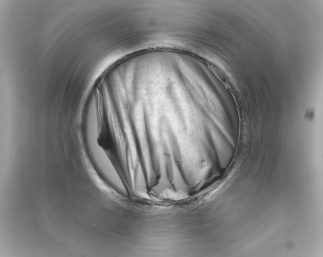 X0000090481038200708102152