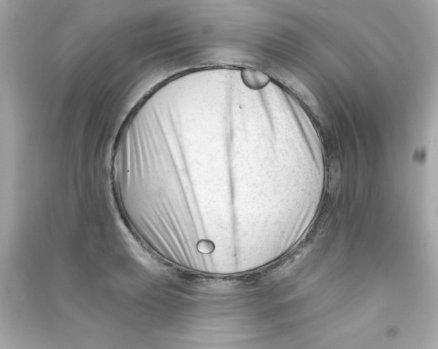 X0000090481039200708102152