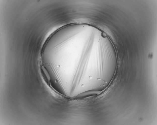 X0000090481040200708102152