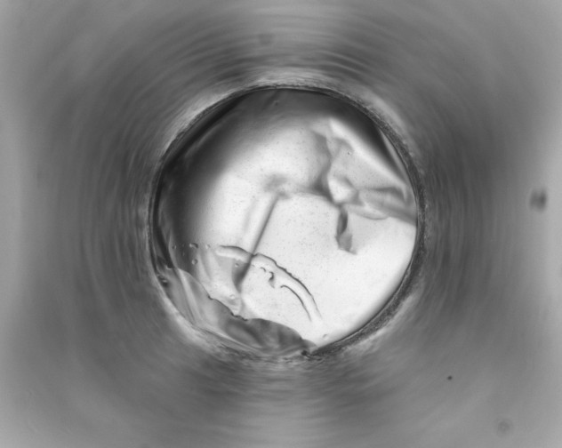 X0000090481041200708102152