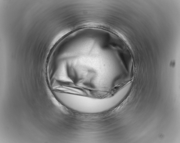 X0000090481042200708102152