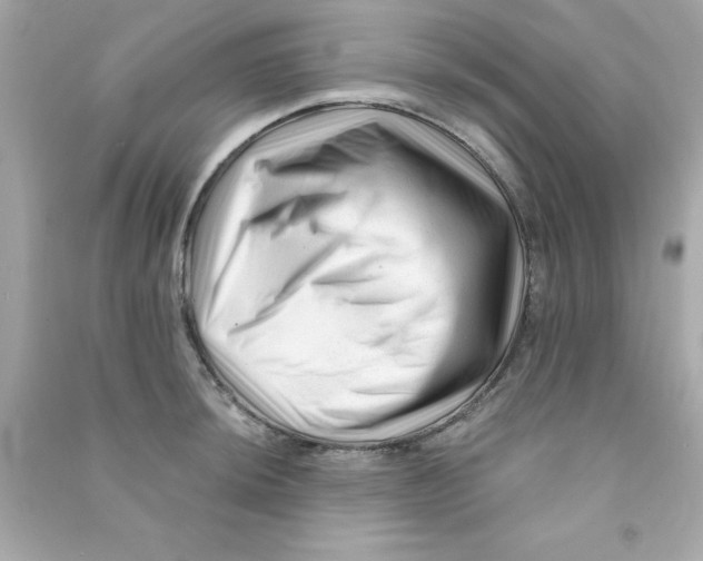 X0000090481044200708102152
