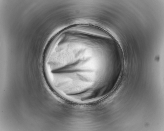 X0000090481045200708102152