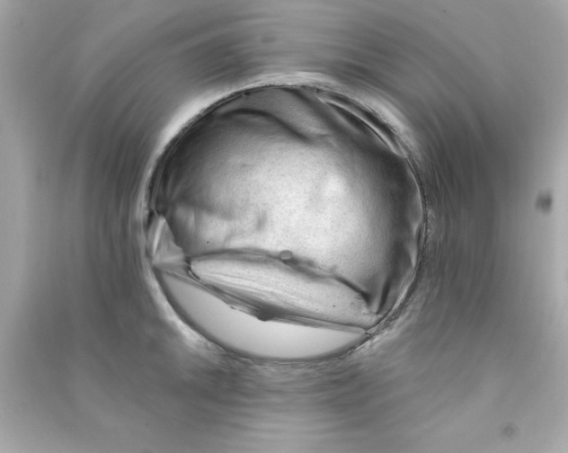X0000090481046200708102152