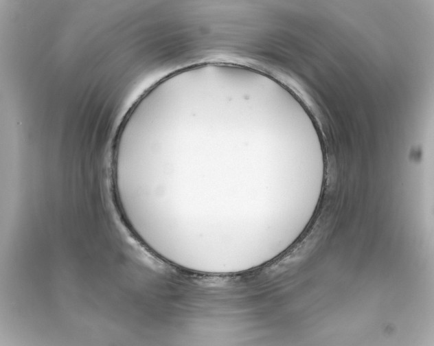 X0000090481048200708102152